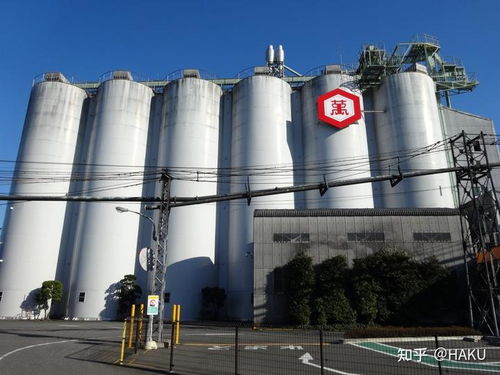 技术开发日报 前沿动态与实践挑战